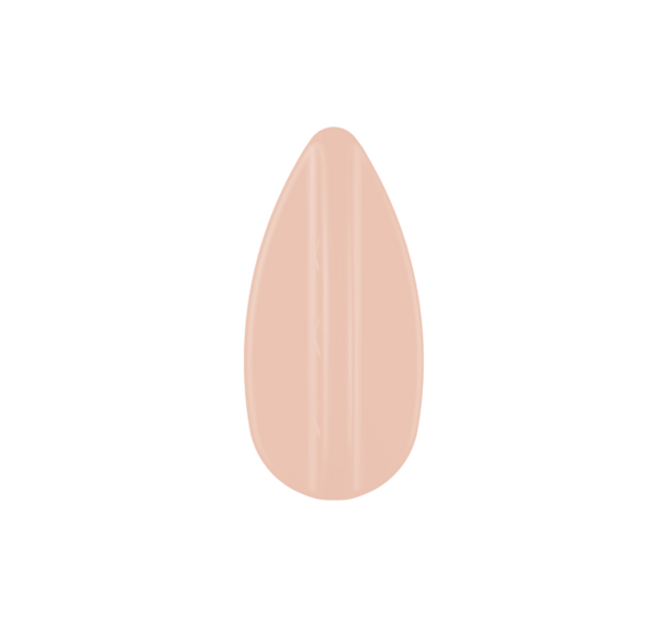 <transcy>Femme Flexor</transcy>